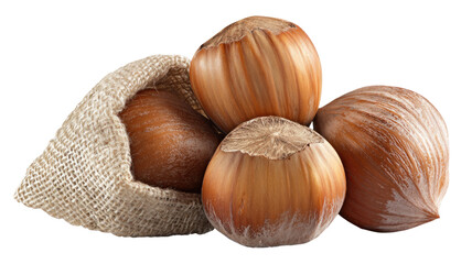 A macro close-up of a heap of organic brown hazelnuts with shells isolated on a white background, featuring healthy natural filbert nuts as a snack ingredient