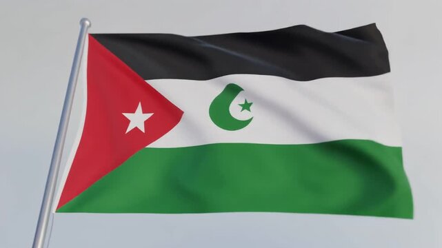 Western Sahara flag waving animation video, the Sahrawi Arab Democratic Republic flag