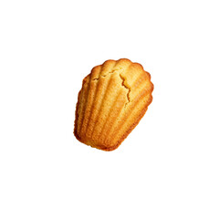 [Transparent Background PNG]Delicious homemade madeleine cake with golden crispy surface