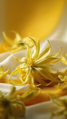 Elegant Ylang-Ylang flowers with vibrant yellow petals, perfect for fragrance, beauty, and luxury product visuals in commercial design