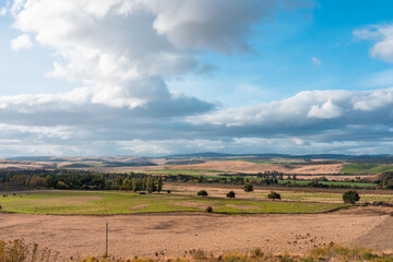 Obraz premium Agricultural tractor cultivating a field with discs, discing cultivation Sowing a crop in a paddock on a farm in Australia. farming agriculture practices