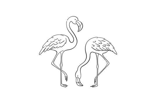 Elegant black and white outline drawing of two flamingos, one standing tall and the other gracefully bending, illustrating the serene beauty of these tropical birds in a minimalist artistic style