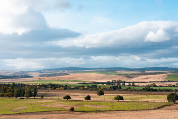 Obraz premium Agricultural tractor cultivating a field with discs, discing cultivation Sowing a crop in a paddock on a farm in Australia. farming agriculture practices