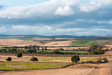 Fototapeta premium Agricultural tractor cultivating a field with discs, discing cultivation Sowing a crop in a paddock on a farm in Australia. farming agriculture practices