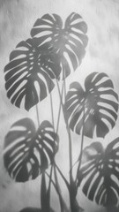 Artistic black and white shadow of monstera leaves on textured wall, perfect for modern, minimalist, and nature-inspired commercial design projects