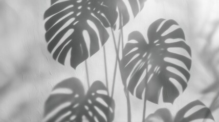 Artistic shadow of monstera leaves on a textured wall, perfect for modern, minimalist, and stylish commercial design and home decor projects