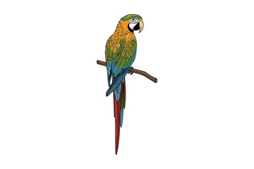 Vibrant macaw perched on a branch © MD REAJUL
