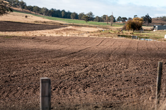 Agricultural tractor cultivating a field with discs, discing cultivation Sowing a crop in a paddock on a farm in summer in Australia.