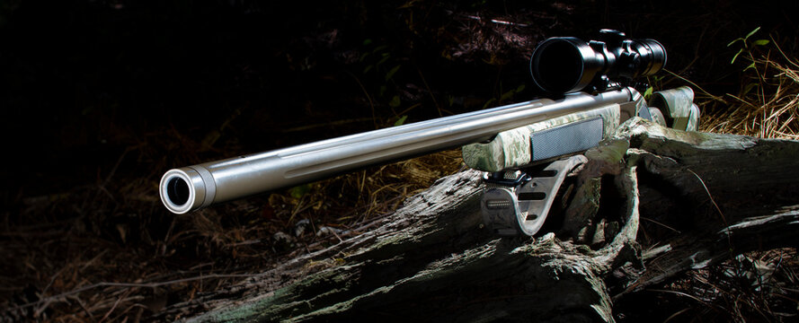 Large muzzeloading rifle in a forest