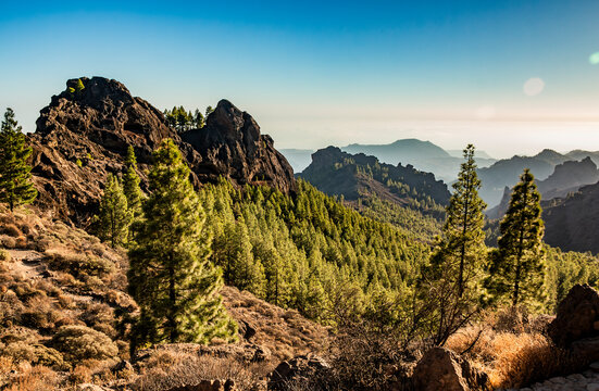 Landscape of misty mountains and sunny valleys forested with pines near Roque Nublo in Gran Canaria
