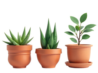 Obraz premium Three potted plants stacked on top of each other, a unique and creative display