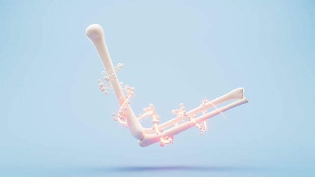 Biological anatomy of the skeleton and bone health, 3d rendering r