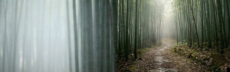 Fototapeta premium Tranquil Bamboo Forest Path on a Misty Morning