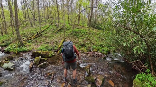 Crossing Creek on Jenkins Ridge in Great Smoky Mountains National Park