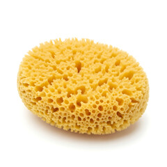 Natural porous sea sponge for cleaning and exfoliation isolated on white background