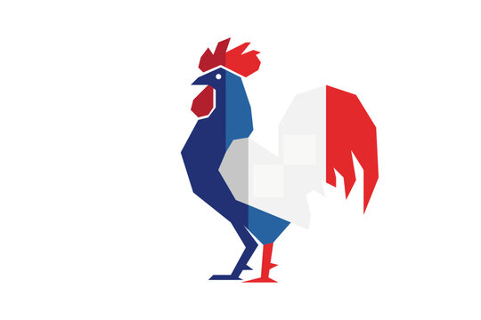Geometric Stylized French Rooster Illustration with National Flag Colors Design