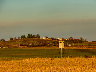 Fototapeta premium Hoch und Jägersitz im Feld