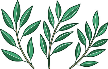Fototapeta premium Eucalyptus Leaves Natural Illustration. Eucalyptus Leaves Botanical Design Concept. Eucalyptus Leaves Green Foliage Illustration. Eucalyptus Leaves Plant and Nature Design. Eucalyptus Leaves Herbal
