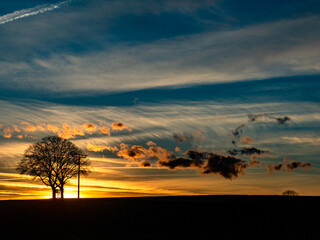 Naklejka premium Baum mit Hoch und Jägersitz bei Sonnenuntergang