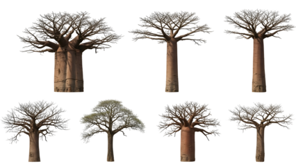 Seven trees with varying heights and foliage isolated on transparent background