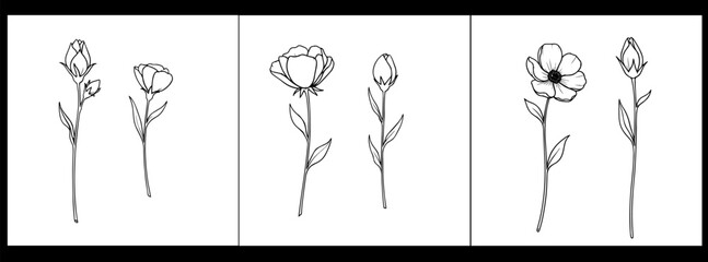 Valentine's day vector illustrations of tulips for romantic gift giving