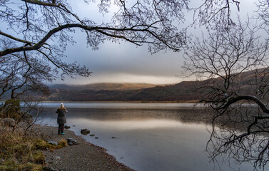 Fototapete bei efototapeten.de bestellen   