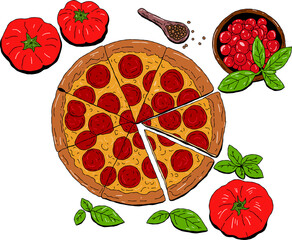 pizza and ingredients, tomato, top view drawing of pizza 