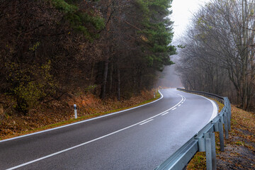 A winding asphalt road bordered by guardrails leading through a mixed forest on a foggy autumn day. © Jan Haz