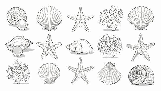 A monochrome illustration of marine life including shells, starfish, coral and pearls