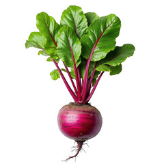 Fresh whole beetroot with vibrant green leaves isolated on a dark surface isolated on transparent background