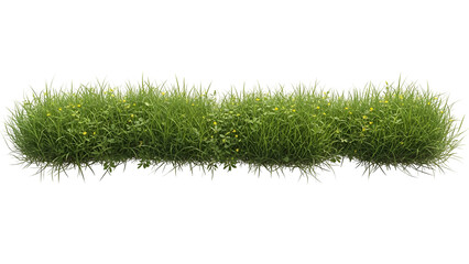 Lush green grass patch isolated on transparent background
