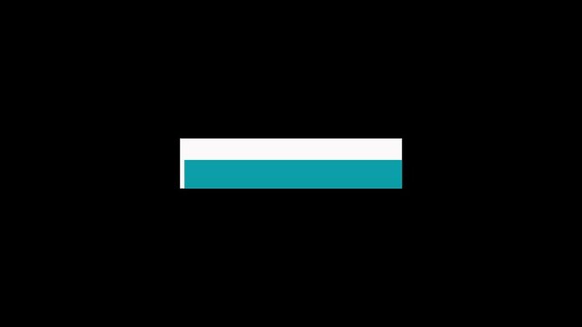 Animated Lower Thirds. TV Name animation.