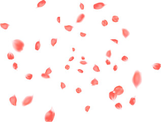 Orange rose petal winding explosion with happy Valentine, romantic event background