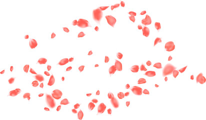 Rose petal spring blossom, Valentine romantic card. Floral wedding invitation