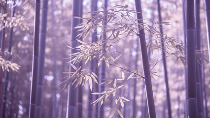 Arashiyama Bamboo Forest aesthetic featuring purple hues and soft light filtering through bamboo stalks