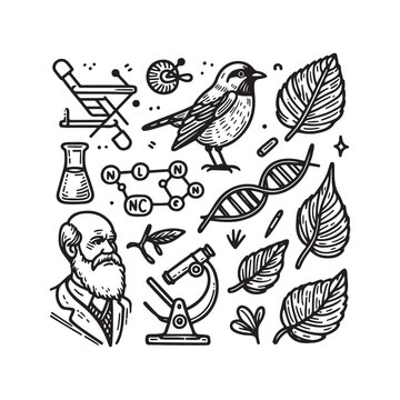doodle icons darwin day educational evolution finch dna and science vector