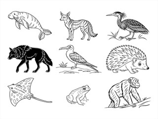 coloring page line art the animal bird and flower black vector bundle