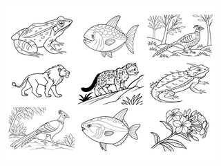coloring page line art the animal bird and flower black vector bundle