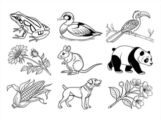 coloring page line art the animal bird and flower black vector bundle