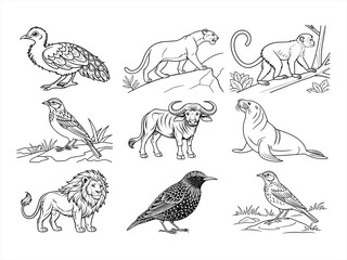 coloring page line art the animal bird and flower black vector bundle