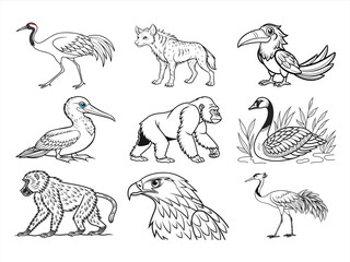 coloring page line art the animal bird and flower black vector bundle