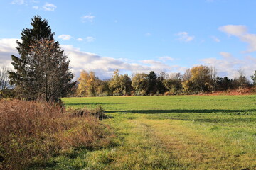 Obraz premium Sonniger Herbsttag in Bad Dürrheim