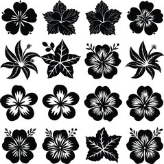 Obraz premium Elegant collection of stylized black and white tropical flower and leaf silhouettes for design