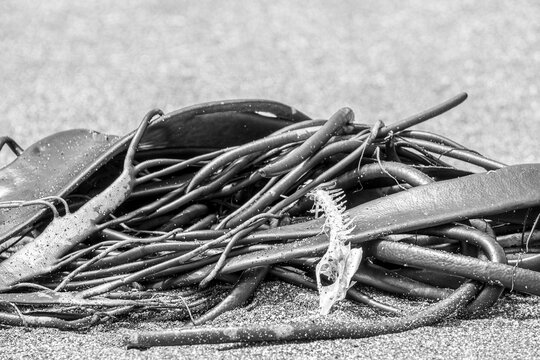random photography