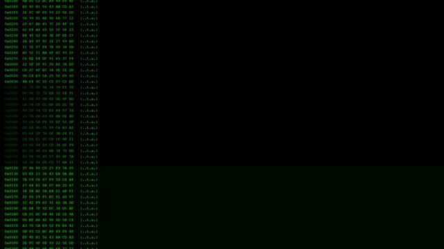 Memory Hex Dump Computer Code Green Terminal 4K Loop