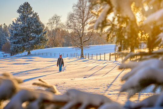 Active senior woman hiking in snowy winter landscape at sunset in the Bregenzerwald, Vorarlberg, Austria