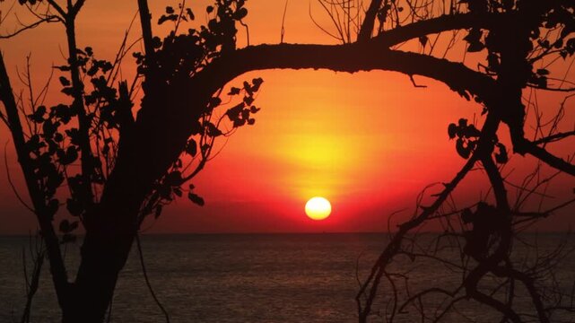 4K ocean sunset with tree silhouette on Ko Lanta , Thailand 