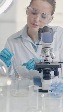 Female Scientist Working with Bacterial Culture with Microscope