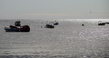 Obraz premium Small Fishing Boats Anchored in Sparkling Shimmering Ocean Water