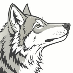 Fototapeta premium Majestic Wolf Portrait Vector Art Mascot Design for Branding